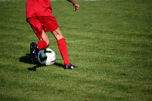 九游娱乐下载-基层足球项目评估体系尚未建立  第2张